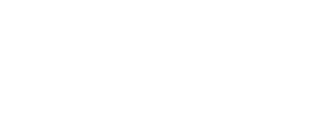 Salon Francis